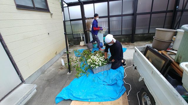 埼玉県熊谷市,深谷市,行田市,の便利屋,不用品の回収,剪定,クリーニング,補修,作業を行っています。深谷市で庭・敷地にある植木の処分のお仕事。