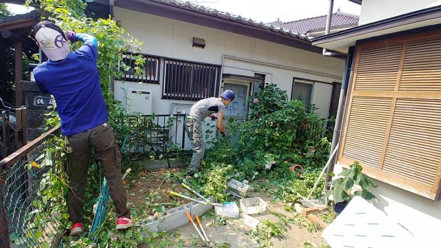 埼玉県熊谷市,深谷市,行田市,の便利屋,不用品の回収,剪定,クリーニング,補修,作業を行っています。熊谷市で庭の草刈りとフェンスに絡まった草の取り除き作業のお仕事。