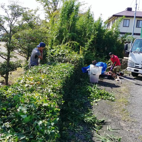 埼玉県熊谷市,深谷市,行田市,の便利屋,不用品の回収,剪定,クリーニング,補修,作業を行っています。埼玉県行田市で草刈りのお仕事。