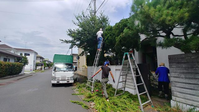 埼玉県熊谷市,深谷市,行田市,の便利屋,不用品の回収,剪定,クリーニング,補修,作業を行っています。埼玉県深谷熊谷市で庭木の剪定のお仕事。