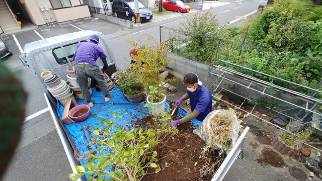 熊谷市で庭の植木と土の回収のお仕事 街の便利屋 リサイクル妻沼