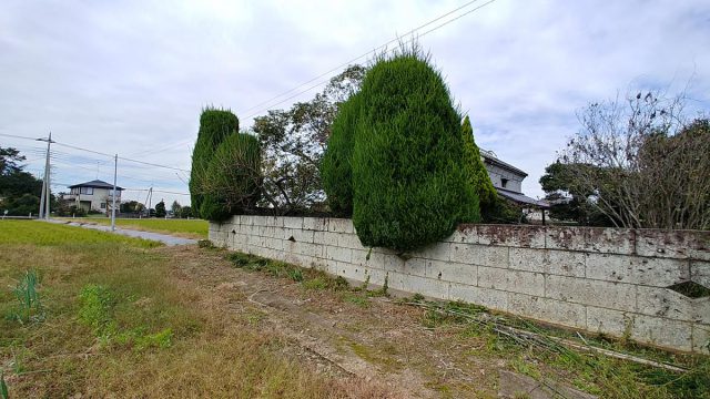 埼玉県熊谷市,深谷市,行田市,の便利屋,不用品の回収,剪定,クリーニング,補修,作業を行っています。行田市で庭木の剪定のお仕事。