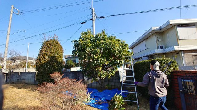 埼玉県熊谷市,深谷市,行田市,の街の便利屋さん（リサイクル妻沼）は、相談・見積無料なので、いつでもお気軽にお電話ください。幅広に困りごとの解決に全力で取り組ませて頂きます。熊谷市で庭木の剪定のお仕事。