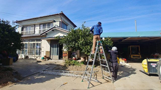 埼玉県熊谷市,深谷市,行田市,の街の便利屋さん（リサイクル妻沼）は、相談・見積無料なので、いつでもお気軽にお電話ください。幅広に困りごとの解決に全力で取り組ませて頂きます。熊谷市で庭木の剪定のお仕事。