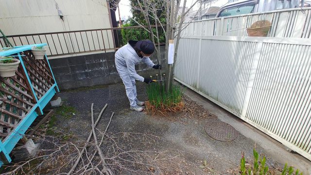 埼玉県熊谷市,深谷市,行田市,の街の便利屋さん（リサイクル妻沼）は、相談・見積無料なので、いつでもお気軽にお電話ください。幅広に困りごとの解決に全力で取り組ませて頂きます。行田市で庭木の抜根作業。