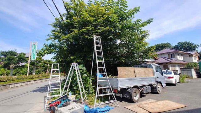 埼玉県熊谷市,深谷市,行田市,東松山市の街の便利屋さん（リサイクル妻沼）は、相談・見積無料なので、いつでもお気軽にお電話ください。幅広に困りごとの解決に全力で取り組ませて頂きます。川越市で植木の伐採のお仕事。