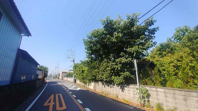 埼玉県熊谷市,深谷市,行田市,東松山市の街の便利屋さん（リサイクル妻沼）は、相談・見積無料なので、いつでもお気軽にお電話ください。幅広に困りごとの解決に全力で取り組ませて頂きます。行田市で道路にはみ出た植木の伐採作業。