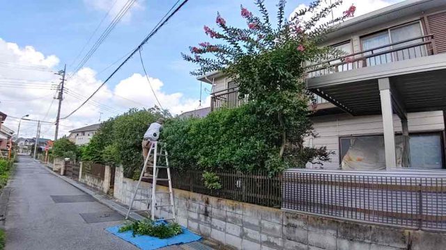 街の便利屋さん（リサイクル妻沼）は、相談・見積無料なので、いつでもお気軽にお電話ください。幅広に困りごとの解決に全力で取り組ませて頂きます。鴻巣市で庭木のお手入れのお仕事。