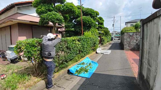 街の便利屋さん（リサイクル妻沼）は、相談・見積無料なので、いつでもお気軽にお電話ください。幅広に困りごとの解決に全力で取り組ませて頂きます。東松山市で垣根の剪定のお仕事。