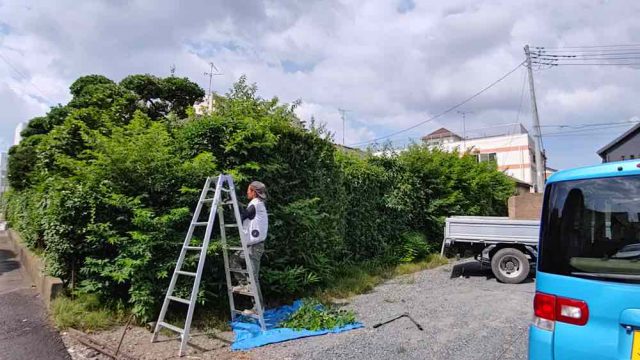 街の便利屋さん（リサイクル妻沼）は、相談・見積無料なので、いつでもお気軽にお電話ください。幅広に困りごとの解決に全力で取り組ませて頂きます。東松山市で垣根の剪定のお仕事。