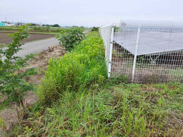 街の便利屋さん（リサイクル妻沼）は、相談・見積無料なので、いつでもお気軽にお電話ください。幅広に困りごとの解決に全力で取り組ませて頂きます。小川町で草刈りのお仕事。